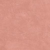 ������������ Ametis Spectrum Salmon SR05 600x600 ��������������