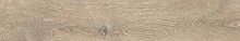������������ Ametis Daintree Rusty Beige DA02 1200x194 ��������������