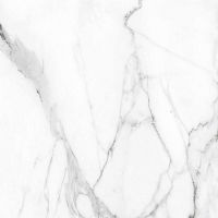 ������������ Ametis Supreme Platinum SM01 60x60 �����.