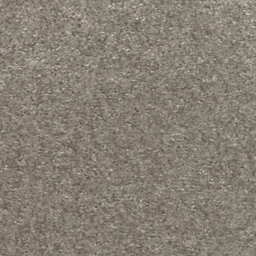 �������� AW Masquerade Costanza 36