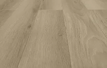 MSPC ������� ��� ������ ���. 2529-13 M�
