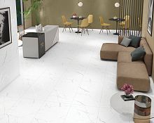 ������������ Nt Ceramic MARMO Callacata carving 60*120��